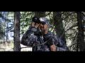 AGM - Call of the Wild