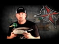 Avian X Toplight Mallards Product Profile