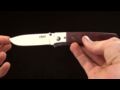 CRKT Torreya Hunting Knife by Steve Jernigan Video