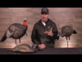 Higdon Outdoors - TruMotion Turkey Decoys