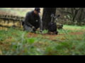 Minelab Pro-Find 40 Pinpointer Video