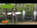 Mojo Dove Tree (short)