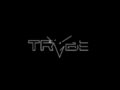 TRYBE Defense Magnite Handguards