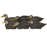 Image of Avery Outdoors PG XD Series Black Ducks-Harvester Pack, 1/2 dozen