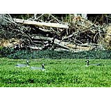 Image of Camo Unlimited Hunting Accessories MS01B