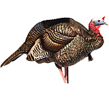 Image of Dave Smith Decoys 3/4 Strut Jake Decoy