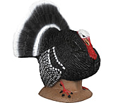 Image of Delta McKenzie Strutter Turkey Target