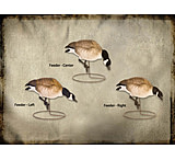 Image of Final Approach FA Last Pass HD Lesser Canada Full-Body - Feeders 474181