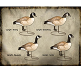 Image of Final Approach FA Last Pass HD Lesser Canada Full-Body - Uprights 474171