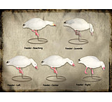 Image of Final Approach FA Last Pass HD Snow Goose Full-Body - Feeders 474191