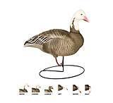 Image of Final Approach Last Pass HD Blue Goose,Full Body Field