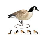 Image of Final Approach Last Pass HD Lesser Canada,Full Body Field