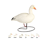 Image of Final Approach Last Pass HD Snow Goose,Full Body Field