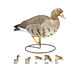 Image of Final Approach Last Pass HD Speckle Belly,Full Body Field