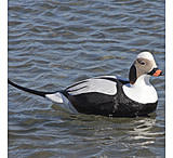 Image of Greenhead Gear Commercial Grade Long-Tailed Ducks