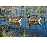 Image of Greenhead Gear Pro-Grade Specklebelly Floaters Decoy