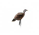 Image of Montana Decoy Co. Miss Purrfect XD Turkey Hen Decoy