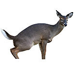 Image of Montana Decoy Co. Estrus Betty Deer Decoy