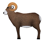 Oncore Targets Ram Self-Healing Archery Target