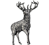 Image of TS Brown Stag Pin