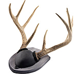 Image of Walnut Hollow Antler Mount Kit 1302345