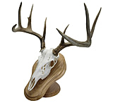 Image of Walnut Hollow Deluxe Euro