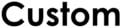 Custom 2020 Logo