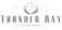 Thunder Bay Brand Logo