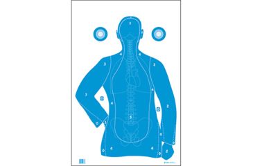 Image of Action Target B-21E Blue w/Anatomy Scoring 100 Per Case, Blue, 23in x 35in, F-B21EANT-AV2-100