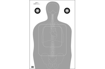 Image of Action Target F-TQ15ANT-A Vital Anatomy/TQ-15 Scoring Target 100 Per Case, Gray, 23in x 35in, F-TQ15ANT-AV2-100