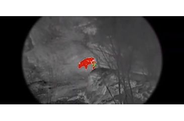Image of AGM Global Vision Wolverine Pro-4 3AW1 Night Vision Rifle Scope 4x70mm, Gen 3, Auto-Gated, White Phosphor Level 1, Black, 10.3 x 3.4 x 3.4, 15WP4423484111
