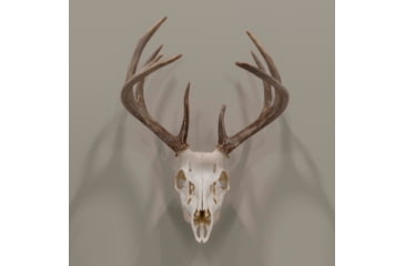 Image of Allen EZ Mount Skull Hanger, Fixed, Black, 7227