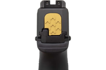 Image of Anarchy Outdoors Slide Plate for Sig 365, Gold, 791617481534