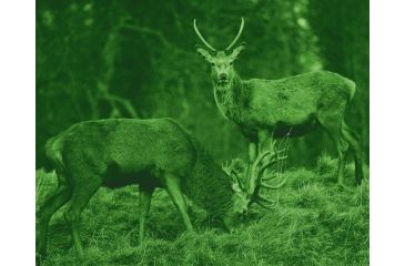 Image of ATN NVB8X-2I Night Vision Binoculars NVBNB08X2I