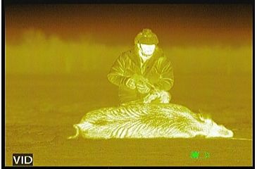 Image of ATN Thor320-9x 320x240, 100mm, 30Hz, 17 micron Thermal Imaging Weapon Sight TIWSMT329C