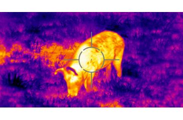 Image of ATN ThOR 4 Thermal Smart HD Rifle Scope, 7-28x75mm, Black, TIWST4387A
