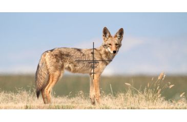 Image of DEMO, ATN X-Sight 4K Buckhunter Daytime Rifle Scope, 5-20x70mm, 30mm Tube, First Focal Plane, Multiple Reticles, DGWSXS5204KB