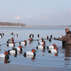 Image of Avery Outdoors 12ft Decoy Gaff 90312