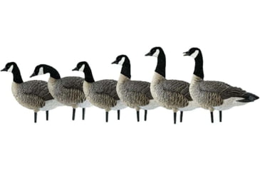 Image of Avian X Active Pack APX Lessers Decoy, AVX-AVX9008