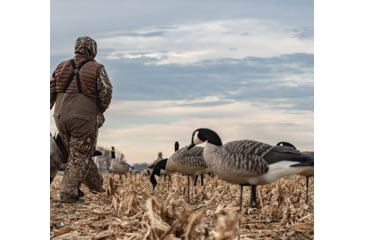 Image of Avian X AXP Honker Sentry-Walker, Black, AVX-HONK-6PK