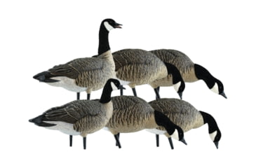 Image of Avian X AXP Lesser Fusion Pack, Black, AVX-LESS-6PK