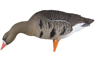 Image of Avian X Fusion Pack AXP Specklebelly Decoy, AVX-AVX9014