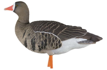 Image of Avian X Fusion Pack AXP Specklebelly Decoy, AVX-AVX9014