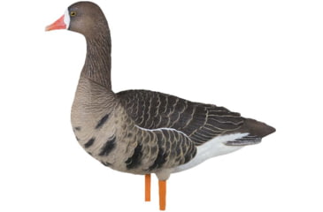 Image of Avian X Fusion Pack AXP Specklebelly Decoy, AVX-AVX9014
