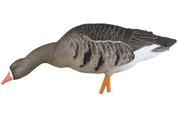 Image of Avian X Fusion Pack AXP Specklebelly Decoy, AVX-AVX9014