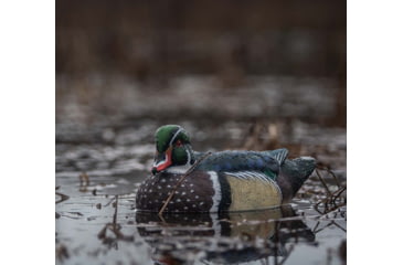 Image of Avian X Top Flight Duck Decoy, Wood Duck Floater 6 pk., 8083, AVX-AVX8083