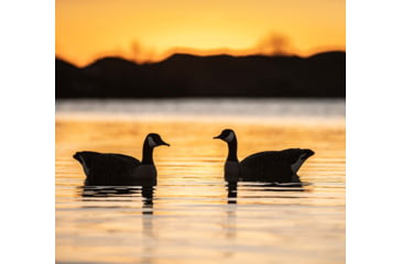 Image of Avian X Top Flight Goose Decoy, Honker Floater 4 pk., AVX-AVX9040, AVX-AVX9040
