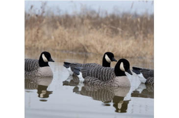 Image of Avian X Topflight Lesser Floaters, Black, AVX-LCGF-4PK
