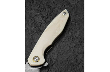 Image of Bestech Knives Bambi Linerlock Ox Bone BTKL08C