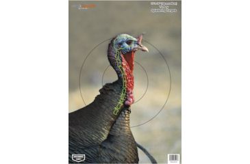 Image of Birchwood Casey Dirty Bird PreGame Animal Targets Turkey 12x18 Inch 8 Per Package, BC-35403